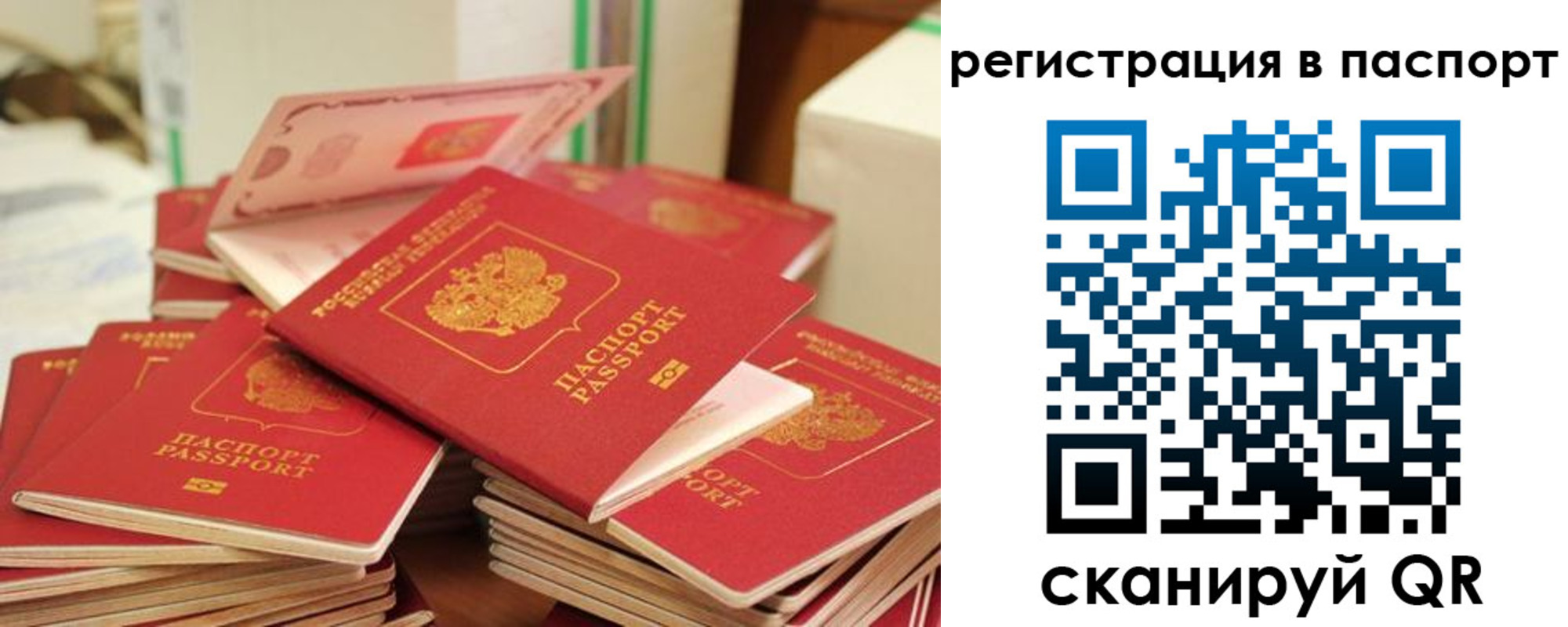 временная регистрация купить в Николаевске